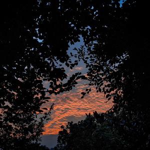 中国老太卖婬刮毛
